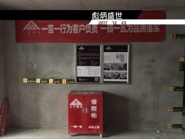 彪炳盛世