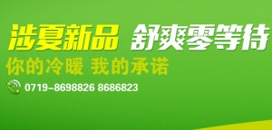 公司介绍